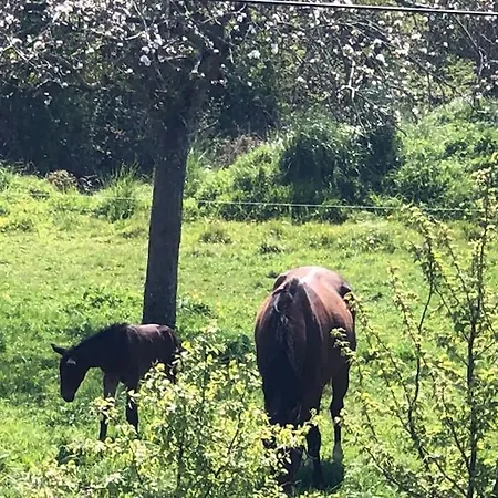 Maison De Famille Entre Et Campagne A 5 Mn De La
