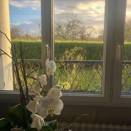 Maison De Famille Entre Et Campagne A 5 Mn De La Prázdninový dům Blainville-sur-Mer